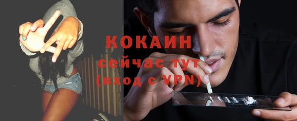твердый Арсеньев