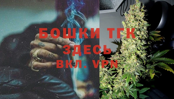 твердый Арсеньев