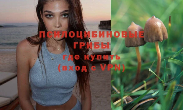 героин Алексин