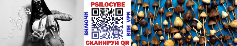 Псилоцибиновые грибы GOLDEN TEACHER сайты даркнета телеграм Каспийск