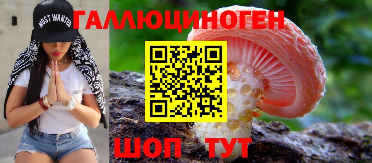 Галлюциногенные грибы Cubensis Каспийск